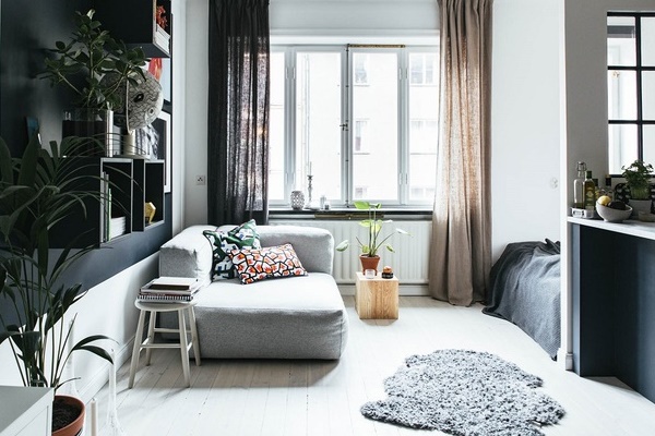 Loài hoa mang may mắn cho ngôi nhà của bạn-2