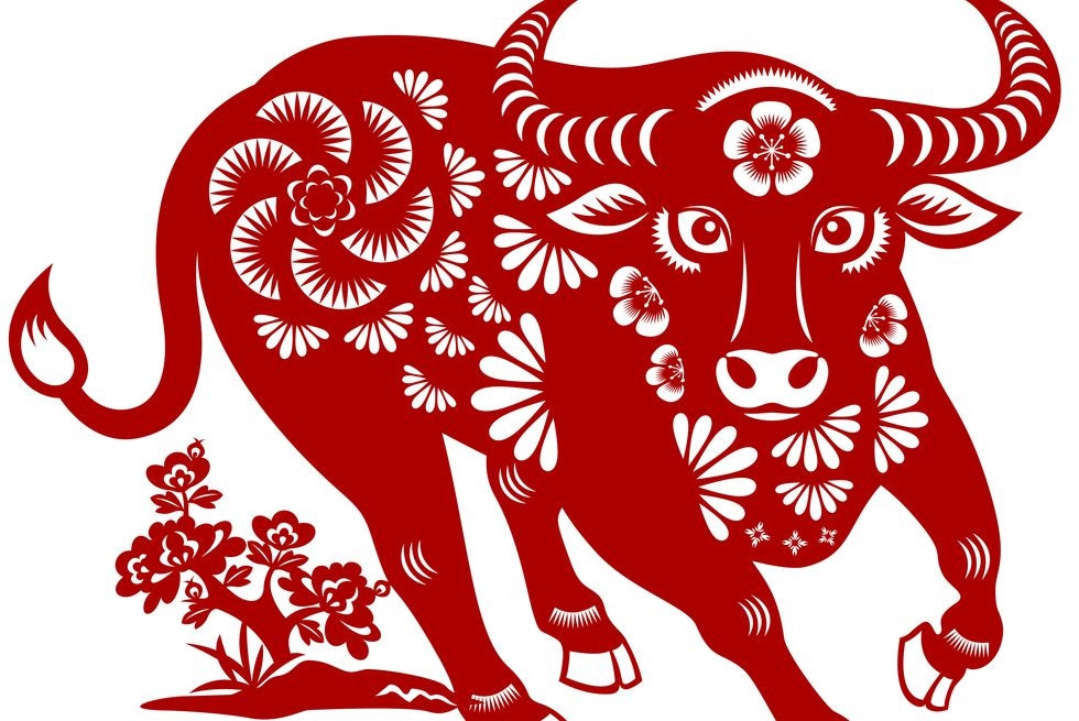 4 con giáp trời sinh trí tuệ sắc bén, tài năng hơn người, vừa giỏi kiếm tiền, vừa có tiếng tăm, tiền đồ rộng mở-3