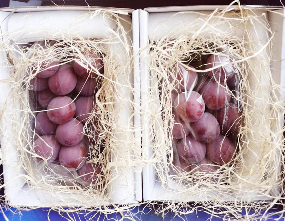 Nho đắt nhất thế giới 250 triệu đồng/chùm giờ chỉ 275 ngàn-2