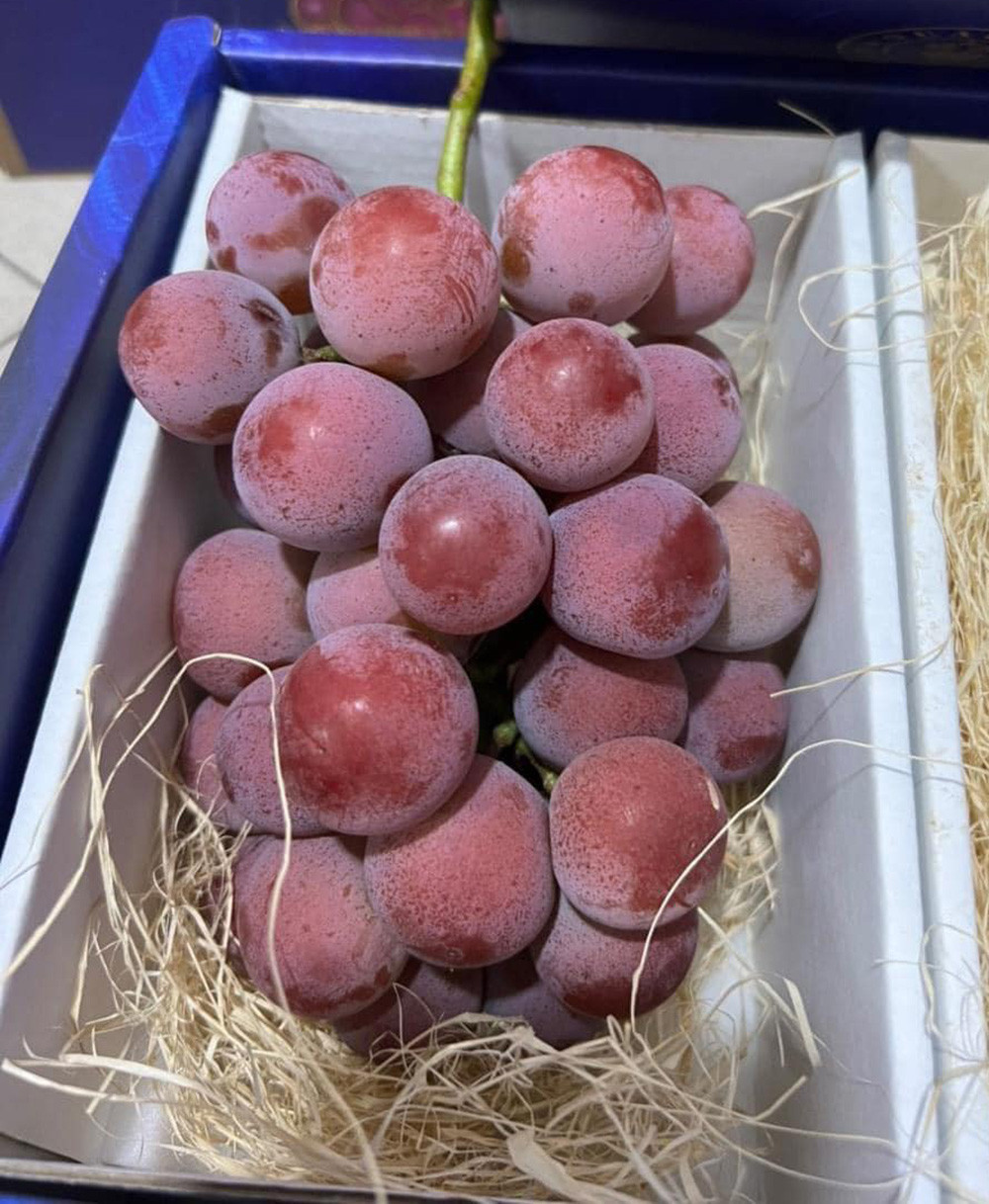 Nho đắt nhất thế giới 250 triệu đồng/chùm giờ chỉ 275 ngàn-3