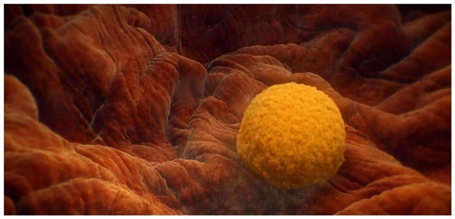 Hotgirl chân dài da trắng lấy Giáo sư ĐH để sinh con đẹp như mẹ, giỏi như cha, kết quả nằm ngoài sức tưởng tượng-4