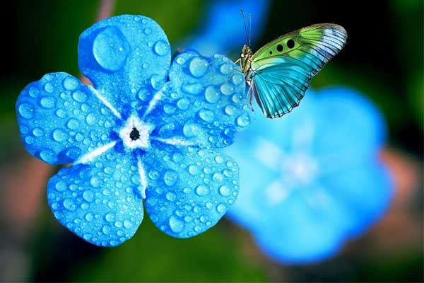 Tử vi ngày 11/7/2023: Tuổi Thìn quý nhân nâng đỡ, tuổi Hợi tài lộc rủng rỉnh-1
