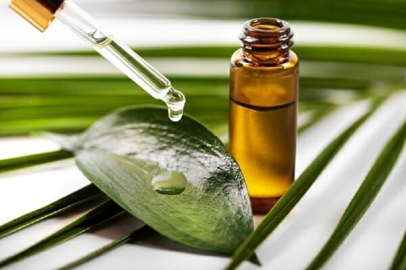 Muỗi sợ nhất 7 loại mùi hương này, có sẵn trong bếp mọi nhà, chỉ cần bôi 1 chút muỗi không dám bén mảng-5