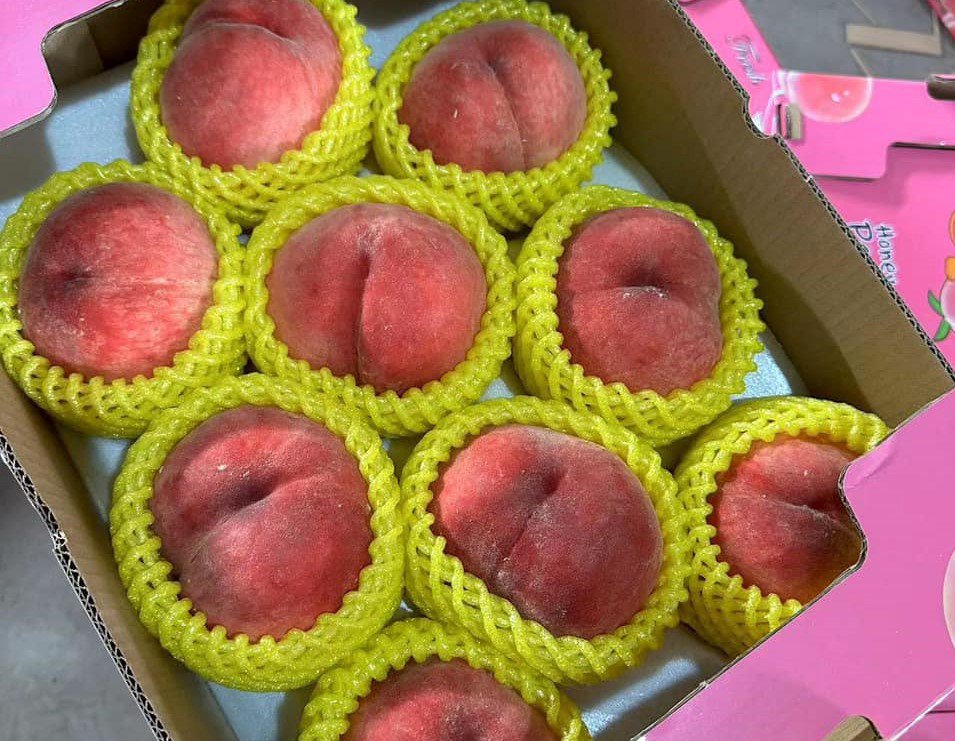 Loại đào Trung Quốc giá hơn 200.000 đồng/kg vẫn đắt hàng-1