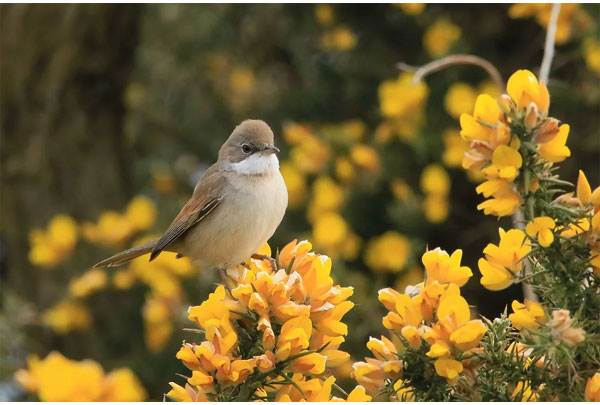 Tử vi ngày 11/7/2023 của 12 cung hoàng đạo: Cự Giải cô đơn, Thiên Bình khó khăn tài chính-3