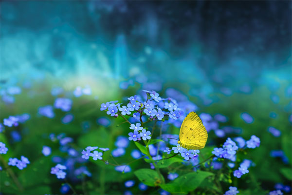 Thánh nhân đãi kẻ khù khờ: Ai sinh tháng Âm lịch này vượng vận may mắn, có duyên với tiền bạc-3