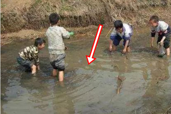 Dùng máy dò kim loại bất ngờ đụng trúng tảng đá chứa vàng trị giá 160.000 USD-2