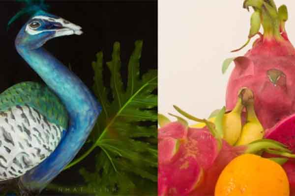 Vườn thú ở Đà Lạt kêu cứu sau khi 3 chú lạc đà đột ngột qua đời, phát hiện thức ăn lạ có độc trong dạ dày-4