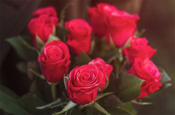 Lộc rơi trước cửa: 3 con giáp chớp lấy thời cơ, tuần cuối tháng 5 Âm lịch tài lộc hưng vượng-3