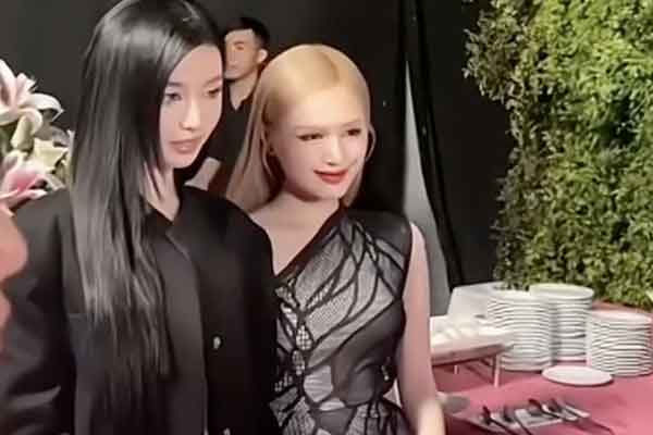 2 hot girl đình đám làm dâu nhà hào môn: 18 tuổi lên xe hoa, dùng bí quyết riêng để được nhà chồng yêu quý-7