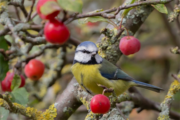 Bướng bỉnh, cứng đầu: Ai sinh ngày Âm lịch này kiên định theo đuổi ước mơ, gặt hái thành công rực rỡ-3