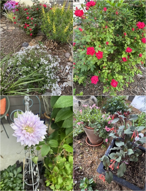 Sau ly hôn, vợ cũ quyền lực của Đàm Vĩnh Hưng sống trong biệt thự sang chảnh không kém ông hoàng nhạc Việt-2