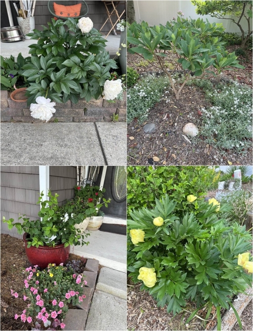 Sau ly hôn, vợ cũ quyền lực của Đàm Vĩnh Hưng sống trong biệt thự sang chảnh không kém ông hoàng nhạc Việt-3