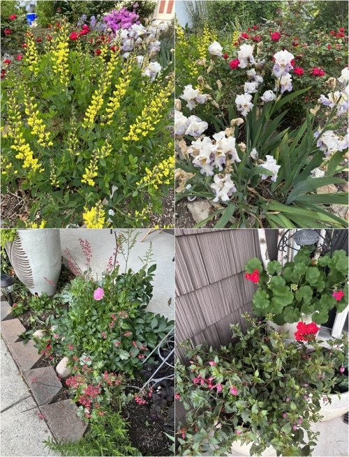 Sau ly hôn, vợ cũ quyền lực của Đàm Vĩnh Hưng sống trong biệt thự sang chảnh không kém ông hoàng nhạc Việt-4