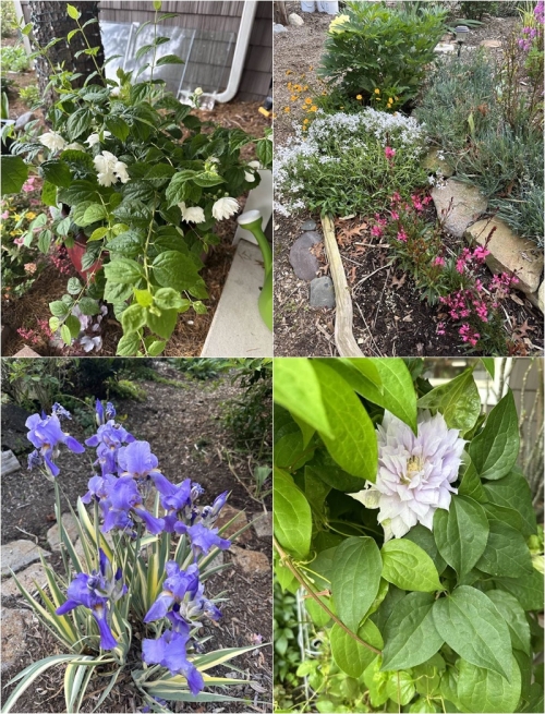 Sau ly hôn, vợ cũ quyền lực của Đàm Vĩnh Hưng sống trong biệt thự sang chảnh không kém ông hoàng nhạc Việt-5