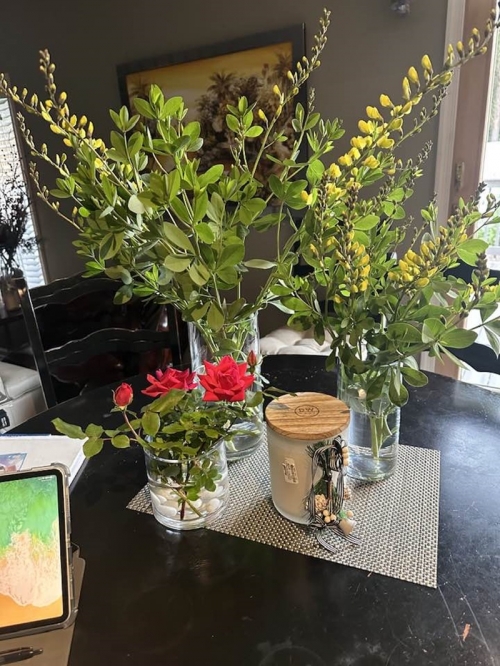 Sau ly hôn, vợ cũ quyền lực của Đàm Vĩnh Hưng sống trong biệt thự sang chảnh không kém ông hoàng nhạc Việt-9