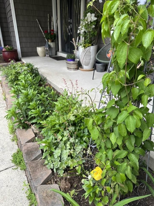 Sau ly hôn, vợ cũ quyền lực của Đàm Vĩnh Hưng sống trong biệt thự sang chảnh không kém ông hoàng nhạc Việt-13