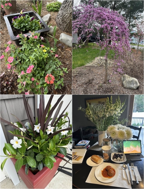 Sau ly hôn, vợ cũ quyền lực của Đàm Vĩnh Hưng sống trong biệt thự sang chảnh không kém ông hoàng nhạc Việt-14