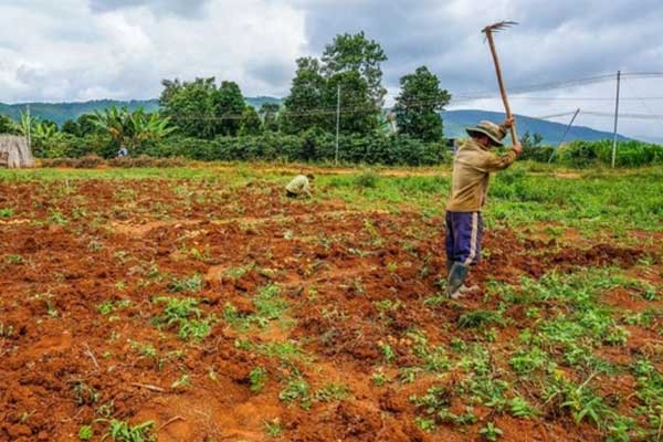 Thời kỳ hoàng kim của USD đã qua?-6