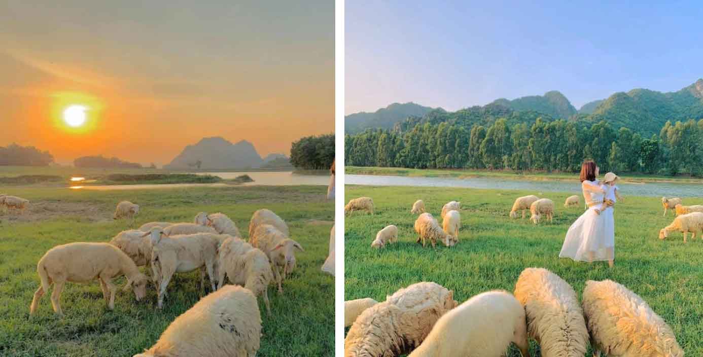 Cập nhật mới nhất giá vé các điểm du lịch ở Ninh Bình-5