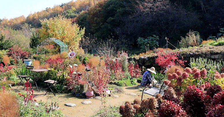 Cặp vợ chồng về quê mua nhà sống giữa thung lũng hoa, từ chối khách đến thăm vì một lý do-4