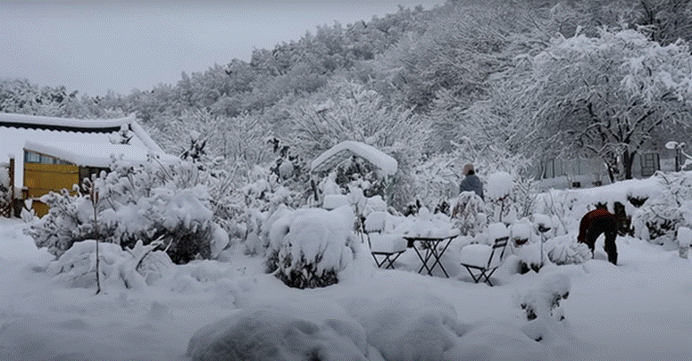Cặp vợ chồng về quê mua nhà sống giữa thung lũng hoa, từ chối khách đến thăm vì một lý do-5