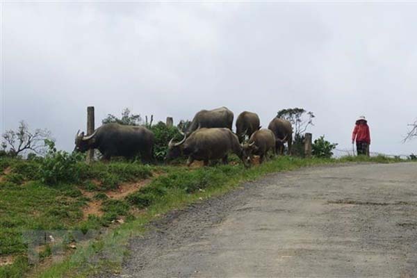 Cả nước xảy ra gần 300 trận động đất trong 8 tháng đầu năm-1