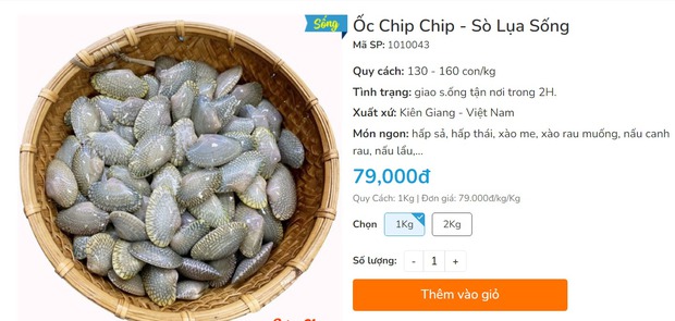 Nhờ em gái đi mua sò lụa giật mình bởi giá 1 triệu 7 cho 2kg và lời phản hồi từ nhà hàng-8