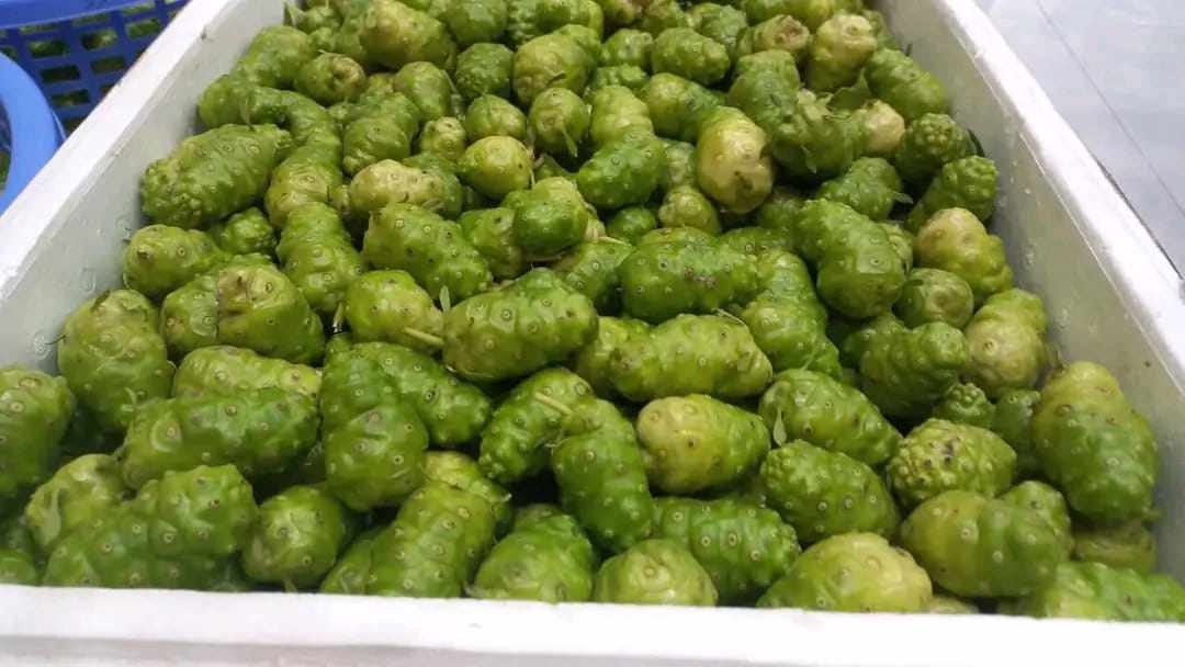 Bán thứ quả lạ”, dân buôn nhập về hơn tạ/ngày vẫn không đủ-2