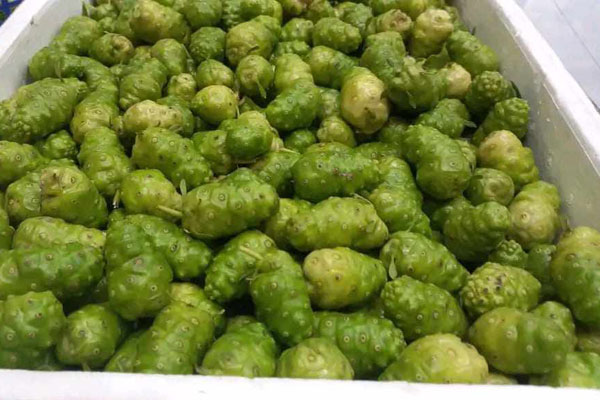 Cherry nhập khẩu bán đầy chợ Việt, hàng Mỹ giá rẻ chưa từng có-4