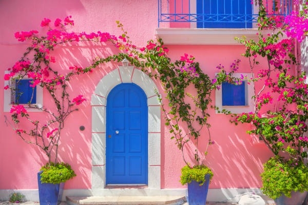 Tò vò làm tổ trong nhà có ý nghĩa gì trong phong thủy?-3