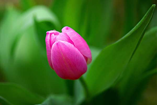 Tài lộc dồi dào: Người sinh khung giờ Âm lịch này biết quản lý tài sản, hậu vận giàu nứt vách-4