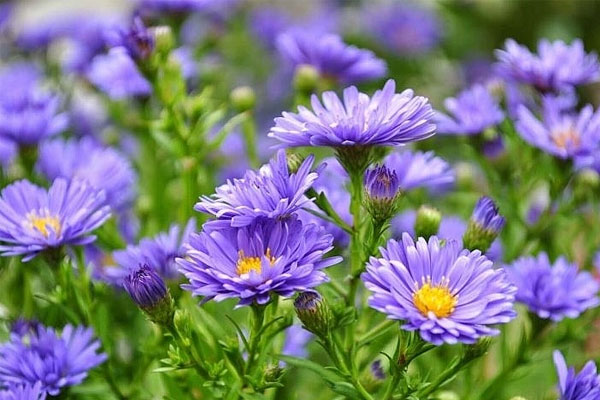 Tài lộc dồi dào: Người sinh khung giờ Âm lịch này biết quản lý tài sản, hậu vận giàu nứt vách-1