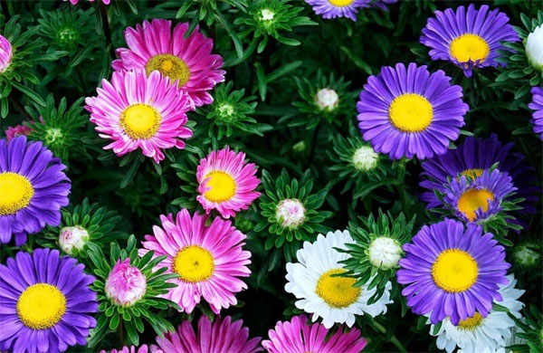 Tài lộc dồi dào: Người sinh khung giờ Âm lịch này biết quản lý tài sản, hậu vận giàu nứt vách-2