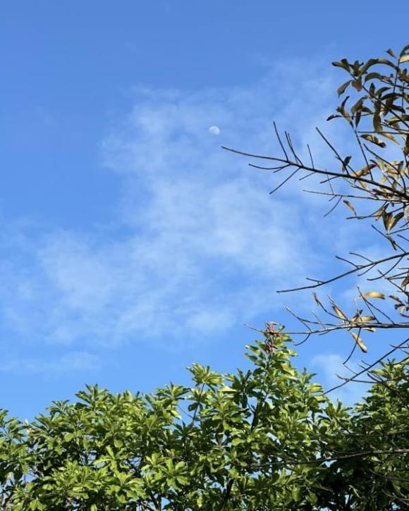 Cơ ngơi đi mỏi chân không hết của nữ ca sĩ vừa gây bão với nhan sắc không tuổi, lọt top tìm kiếm Google chỉ sau một đêm-12