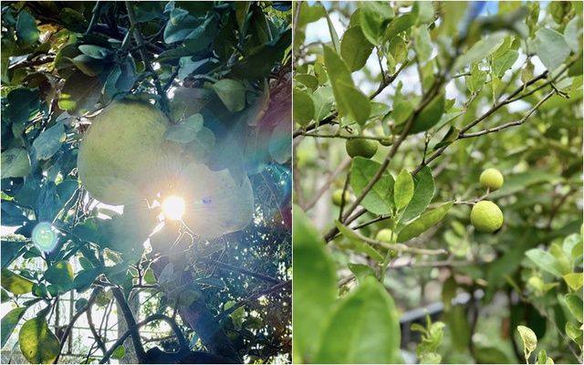 Cơ ngơi đi mỏi chân không hết của nữ ca sĩ vừa gây bão với nhan sắc không tuổi, lọt top tìm kiếm Google chỉ sau một đêm-8