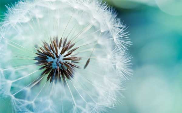 Tử vi ngày 14/7/2023 của 12 cung hoàng đạo: Sư Tử thu về lợi nhuận, Song Ngư lạc quan-1