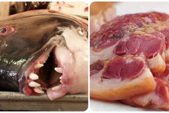 Những bộ phận 'cực hại' của lợn, gà, vịt, cá nhưng nhiều người vẫn vô tư ăn hàng ngày