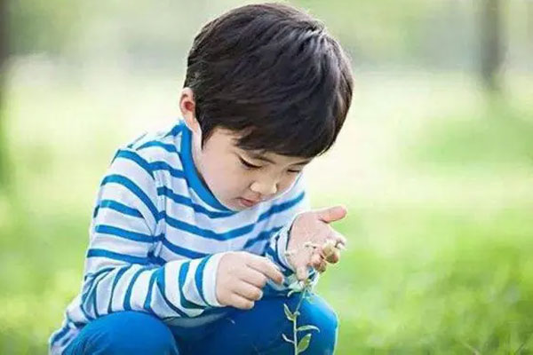 Cậu bé tiểu học viết bài văn khiến bố mẹ đau đầu”, ai đọc xong cũng dở khóc dở cười-2