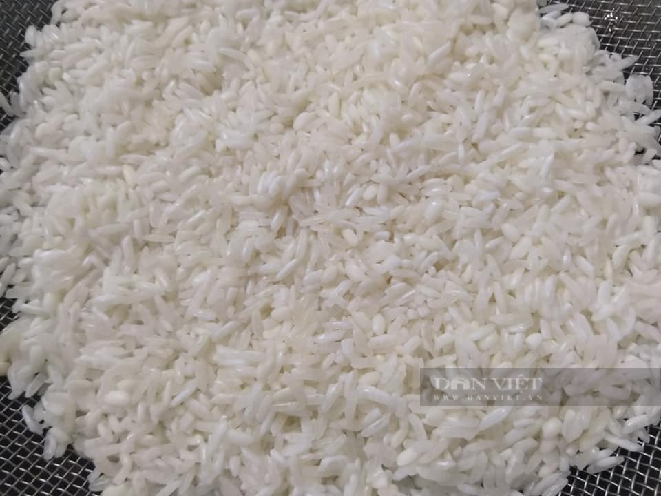 Loại động vật thân mềm rẻ tiền hóa ra là vị thuốc cường dương, đại bổ, đem nấu cháo cực thơm ngon-3