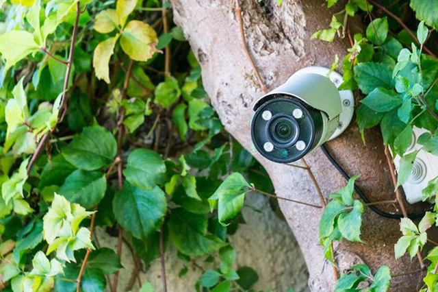 Lắp camera có thể giúp bảo đảm an ninh, nhưng vẫn có những vị trí nên tránh?-3
