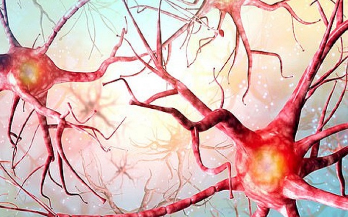 Cụ bà 86 tuổi vẫn sống khỏe dù từng mắc 2 loại ung thư-2