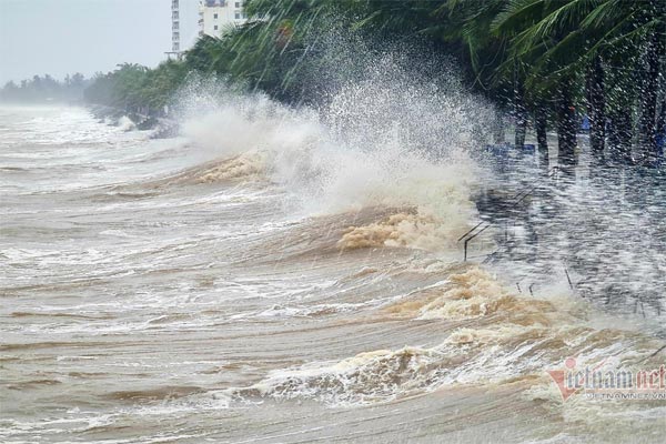 Hải Phòng: Tạm dừng tham quan trên các vịnh thuộc quần đảo Cát Bà từ trưa 17/7-2