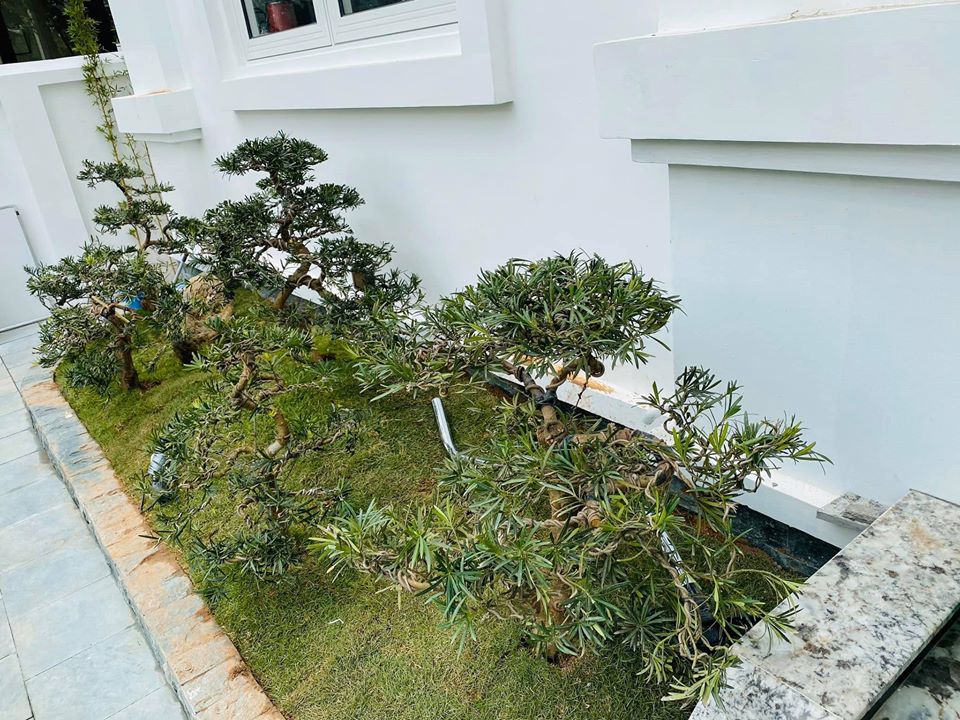 Hằng Túi ly hôn chồng thứ 2, U40 công khai bạn trai thứ 3, sống trong căn hộ lộng lẫy bao người ước ao-20