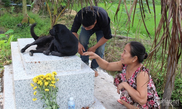 Tiết lộ về chú chó già 6 năm canh mộ cậu chủ ở Long An-2