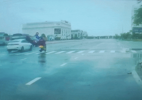 Ngắm kho xe của Đặng Lê Nguyên Vũ: Trăm tỷ xếp lán, phải thuê người chăm-12