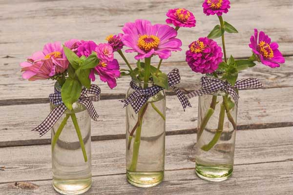 Tử vi ngày 18/7/2023 của 12 cung hoàng đạo: Cự Giải thiếu tập trung, Xử Nữ bướng bỉnh-2