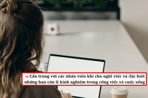 25 tuổi, bỏ việc văn phòng với mức lương 15.000 USD/tháng để làm công việc tay chân: Nghèo hơn, nhưng tôi hạnh phúc hơn”-7