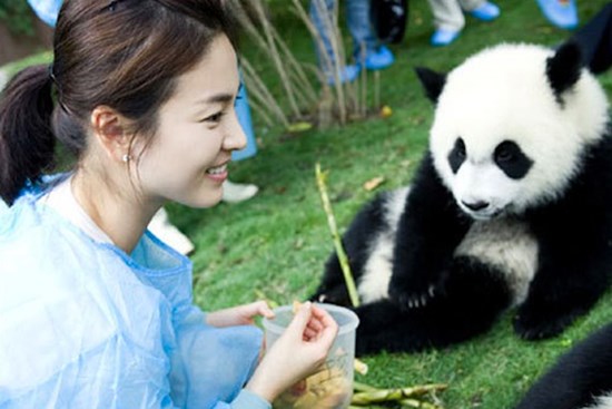 Hình ảnh Song Hye Kyo để mặt mộc chăm sóc gấu trúc được chia sẻ lại