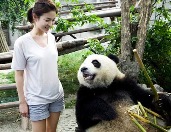 Hình ảnh Song Hye Kyo để mặt mộc chăm sóc gấu trúc được chia sẻ lại-2